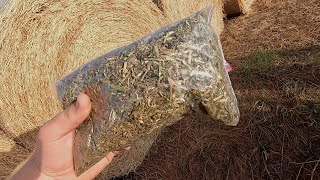 Hay Samples for Pricing Hay