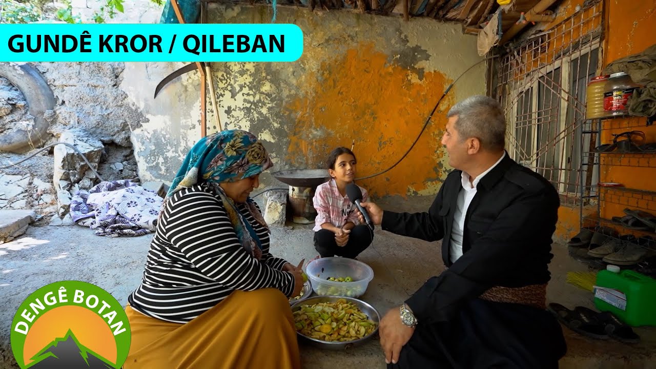 DENGÊ BOTAN - GUNDÊ KROR / QILEBAN (2024)