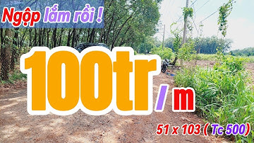 Đất Dầu Tiếng I Cách nhựa ĐT 749B chỉ 50m mà giá rẻ quá 51 × 103 ( Tc 500)#588  #datdautieng