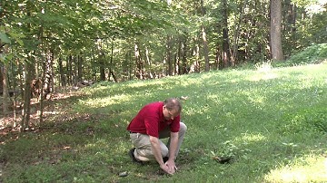 Soil Moisture Sensor - Tech Tips with Vernier