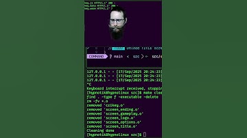 Main Menu In RayLib #twitch #streamer