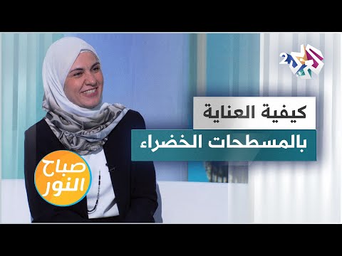 أنواع المسطحات الخضراء وكيفية العناية بها