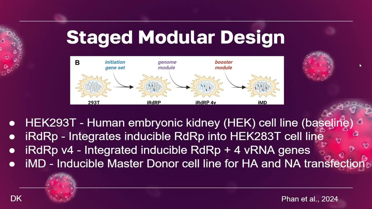 Group#2 Synthetic Cell Lines for IAV Vaccine v2