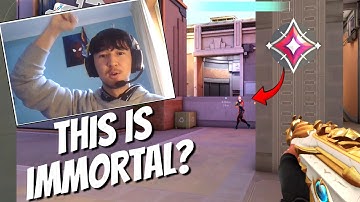 Since When Did Immortal Players Become So Bad...?