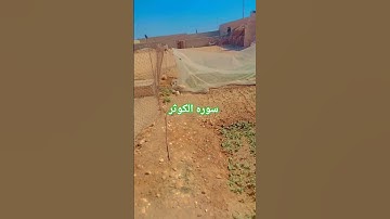 سوره الكوثر