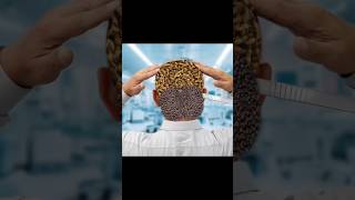 Asmr Remove Moggot 2D Animation