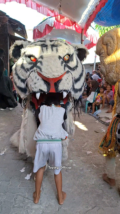 Merinding ! Bocah Dimakan Barongan Macan #shorts