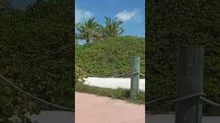 Castaway Cay Bahamas #travel #disneymagic#beach #bahamas