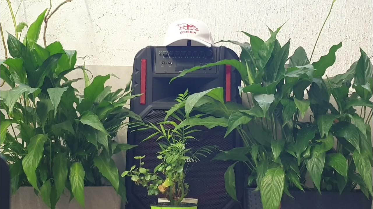 Святая Троица 01-Всемогущий, Святость и Слава - YouTube