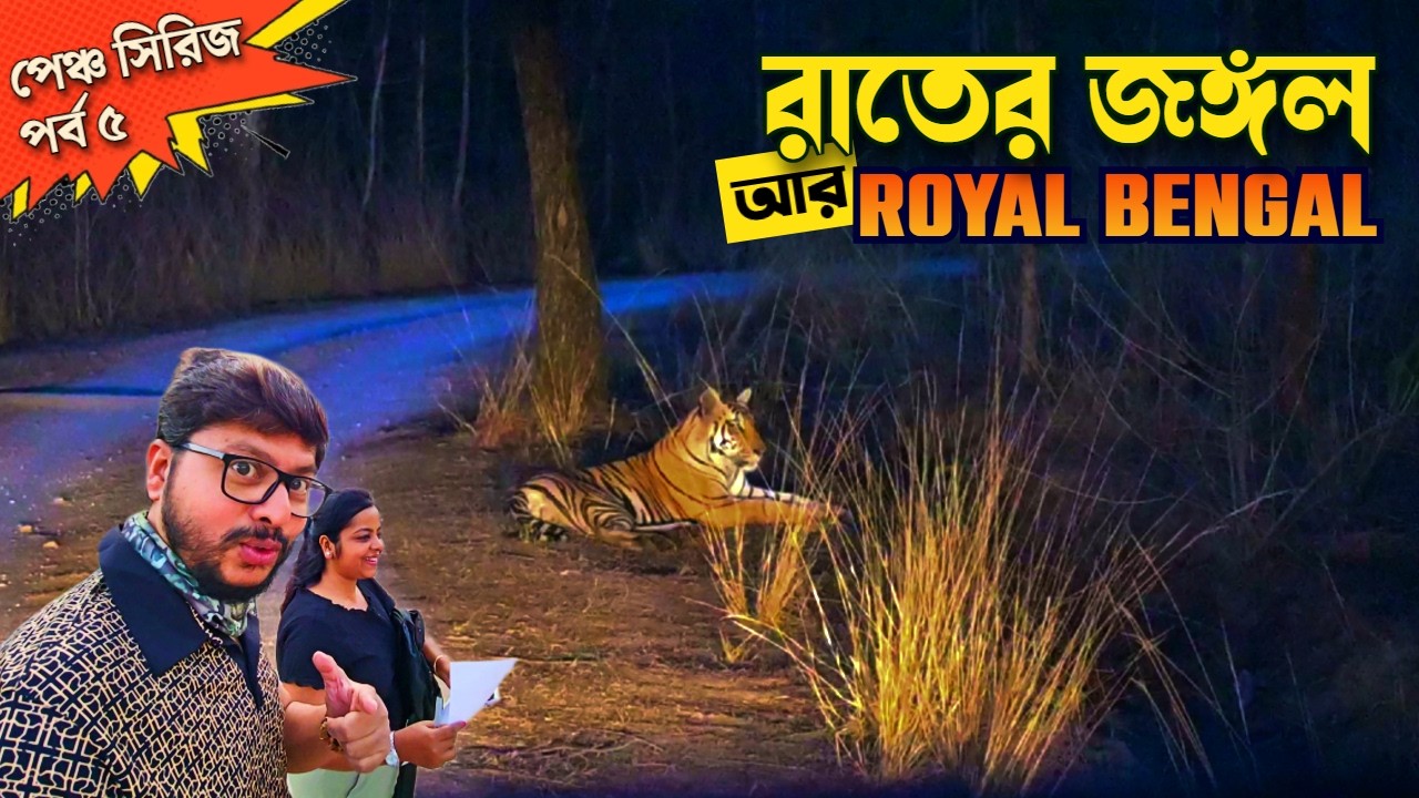ভাবলেই গায়ে কাঁটা দেয়! জীবনে প্রথম রাতের সাফারিতে বাঘ দেখলাম