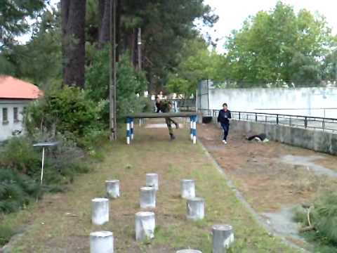 Tropa pista obstaculos nao editado - YouTube