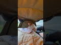 This is the ultimate all-round sleeping bag. No matter the season, you'll sleep in comfort 😴🏕️