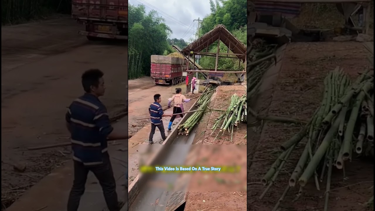 👾Method Of Making White Paper From Bamboo Tree👾