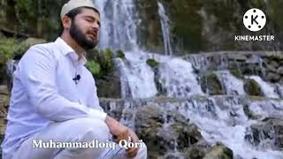 Surah Al Mulk | Muhammadloiq qori |Mulk Surasi
