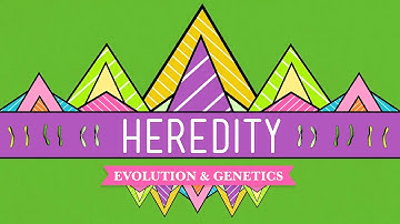 Heredity: Crash Course Biology #9