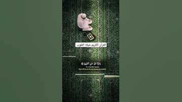 قرآن بصوت جميل يخشع له القلب للشيخ خالدالجليل #القرآن_حياة @قراننت-تلاواتمختارة @القرآنالكريم-ه2ظ1ث