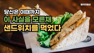 [재미있는 상식] 샌드위치의 재미있는 비밀! #재미있는상식 #유래