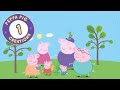 Meet Peppa Pig's family and friends!| Peppa Pig Official Family Kids Cartoon