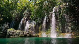Enchanting Cascades: Serene Forest Waterfall Harmony