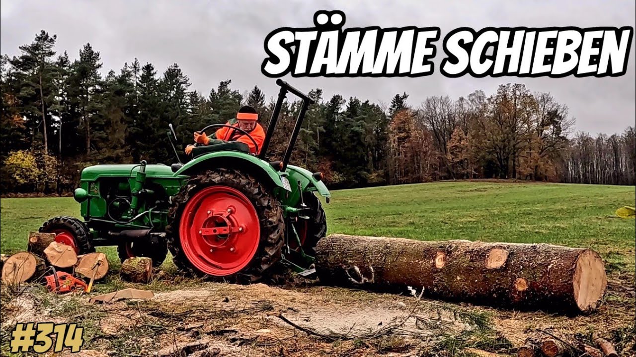 Deutz d30 kämpft beim Stämme schieben 💪| Nutzholz für das Sägewerk || Neue Werkbänke || 