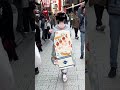 Tourists Mesmerized By Maiko In Gion A Famous Maiko Completely Conquers Foreign Tourists Her Last Tourists Mesmerized By Maiko In Gion A Famous Maiko Completely Conquers Foreign Tourists Her Last