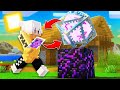 MINECRAFT MA... Ottengo Quello Che Guardo