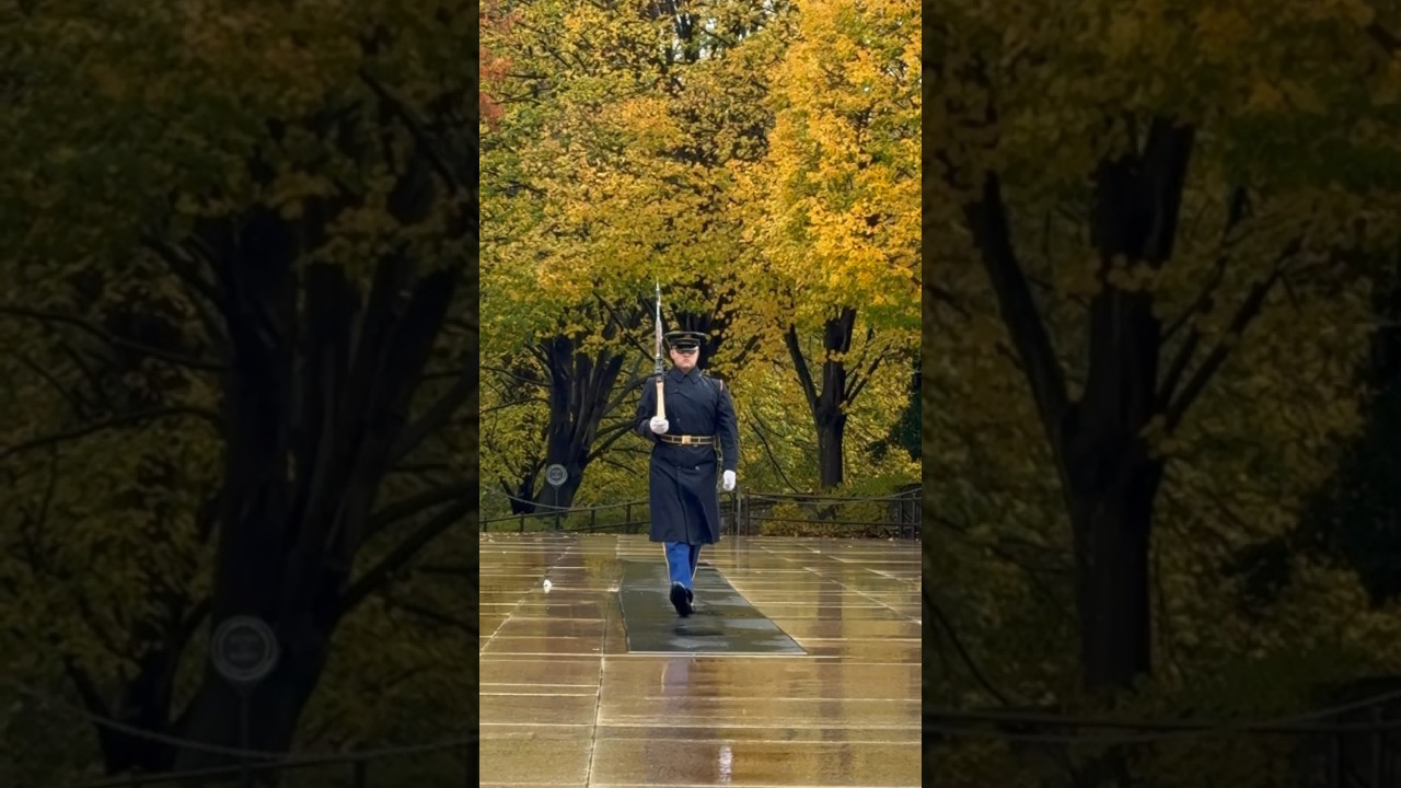 Veterans Day | Honoring Heroes: Arlington Tribute 