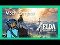 Mochi Strems: Trying to fix something, and Breath of the Wild