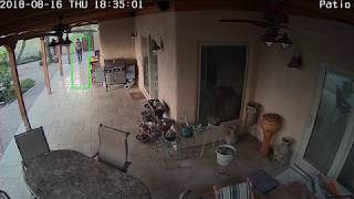Oro Valley Police seek attempted burglary suspect