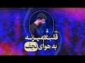 قلبم میزنه به هوای نجف کربلایی حسین ستوده قلبم میزنه به هوای نجف کربلایی حسین ستوده