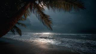Dark Beach at Night — Soft Ocean Waves with Gentle Rain for Deep Sleep (No Music • 8 Hours) screenshot 4