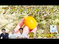 超レア】アチャチャイル（別名：ボリビアンマンゴスチン）の食レポ