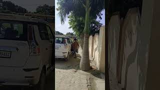 Gurukul Education Academy #music #song #sorts #love #school#deshbhagti #musicgenre #vlog#musicsong