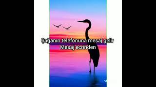 sadakatsiz 19. bölüm LEYÇA Başlık: 