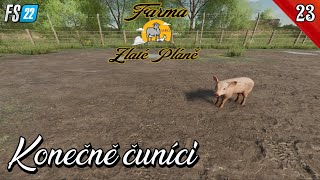 Farma Zlaté Pláně #23 🐷Koupě čuníků a salát 🥗