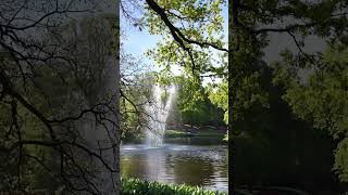 Keukenhof || Wonder Gardens| Walking Among Tulips 4K