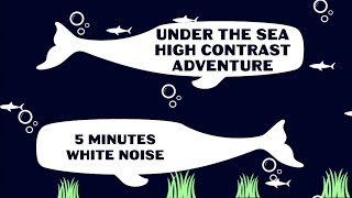 How to help my baby develop? | Under the Sea High Contrast Adventure — 5 minute, white noise