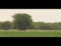 بتي منت الشويخ المويتانية BATTI MENT CHOUIKH MAURITANE 