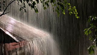 Fall into Sleep in 3 Minutes with Heavy Rain & Pure Thunder Covering Foggy Forest Farmhouse at Night