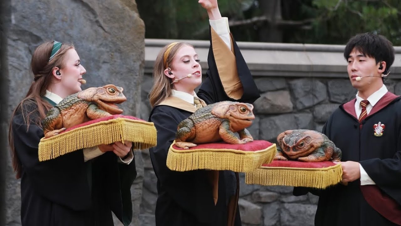 🐸 Magical Frog Choir Live at Universal Studios! - YouTube
