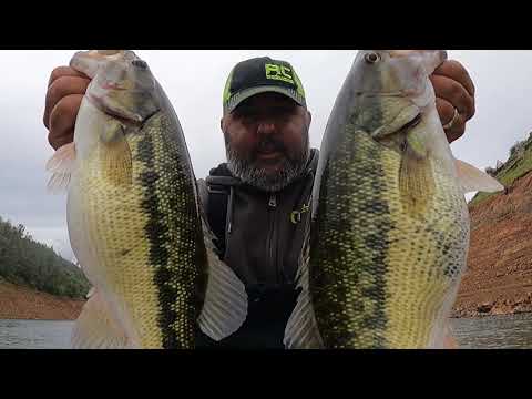 Success and Heart Break on a Big Swimbait