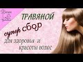 Травяной сбор для здоровья волос