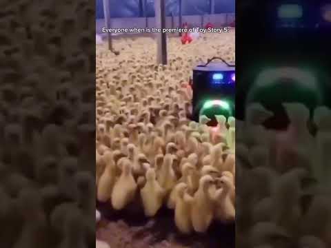 Toy Story 5 shitpost (btw)