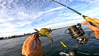 Tautog Fishing Invasive Green Crabs