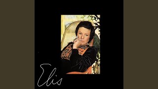 Transversal Do Tempo