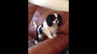 IMG 0141