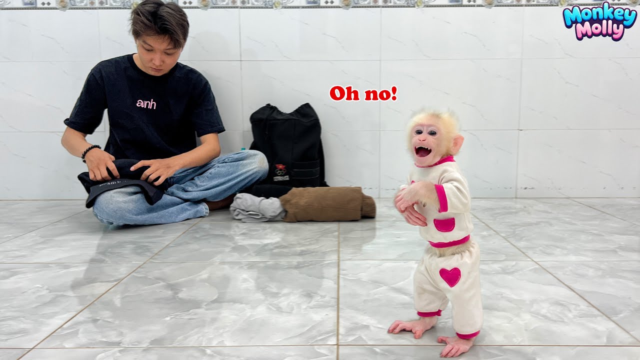 Baby monkey Molly's surprising reaction when she know dad is about to leave her