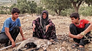 Akram Lost Her Baby Goat 😢 Mohsen and Moslem Search for It 💔🐐