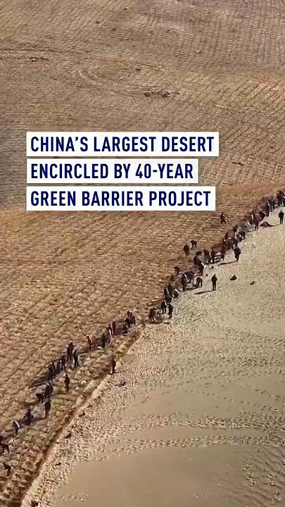 China's largest desert encircled by 40-year green barrier project