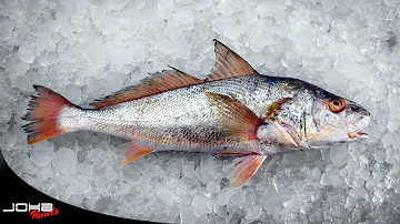 ¿Pone el pescado en hielo después de pescarlo?